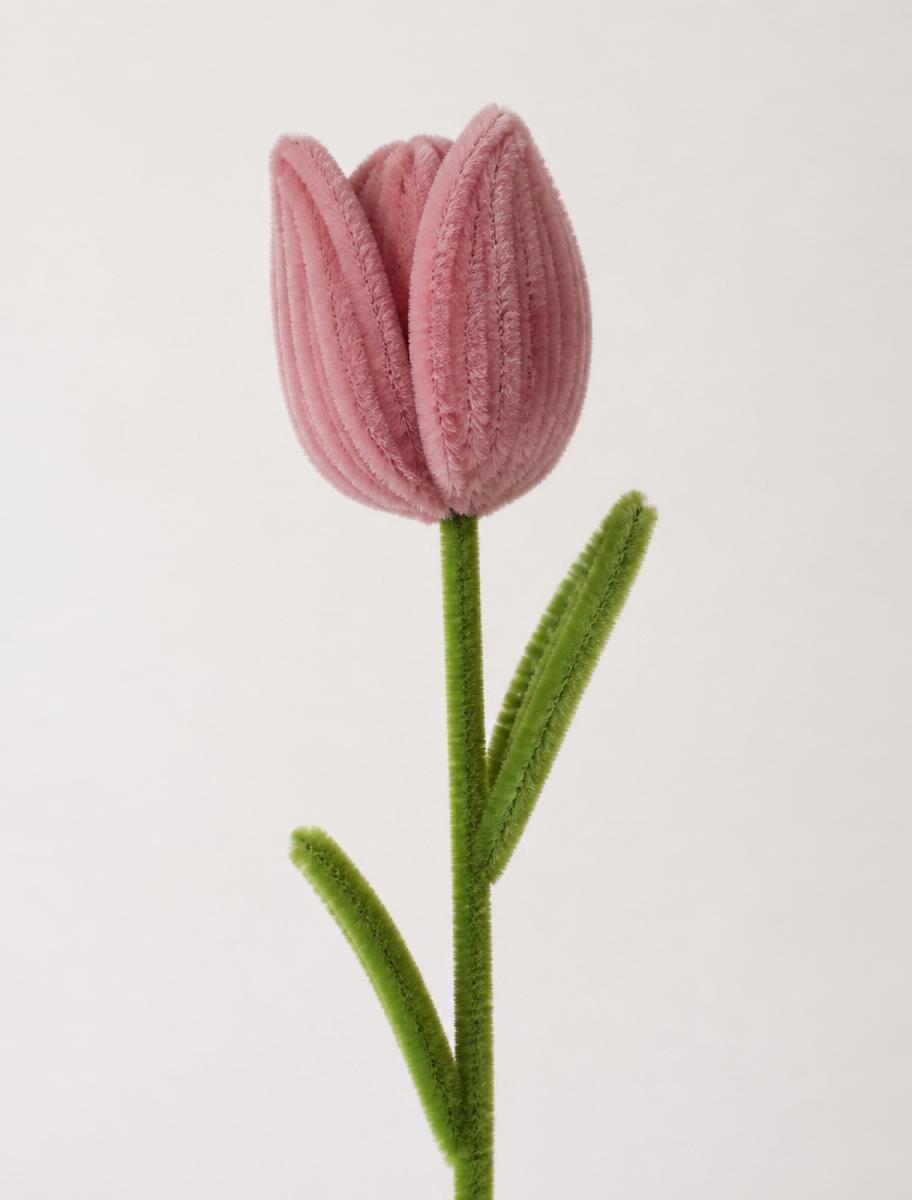 Detalle tulipán